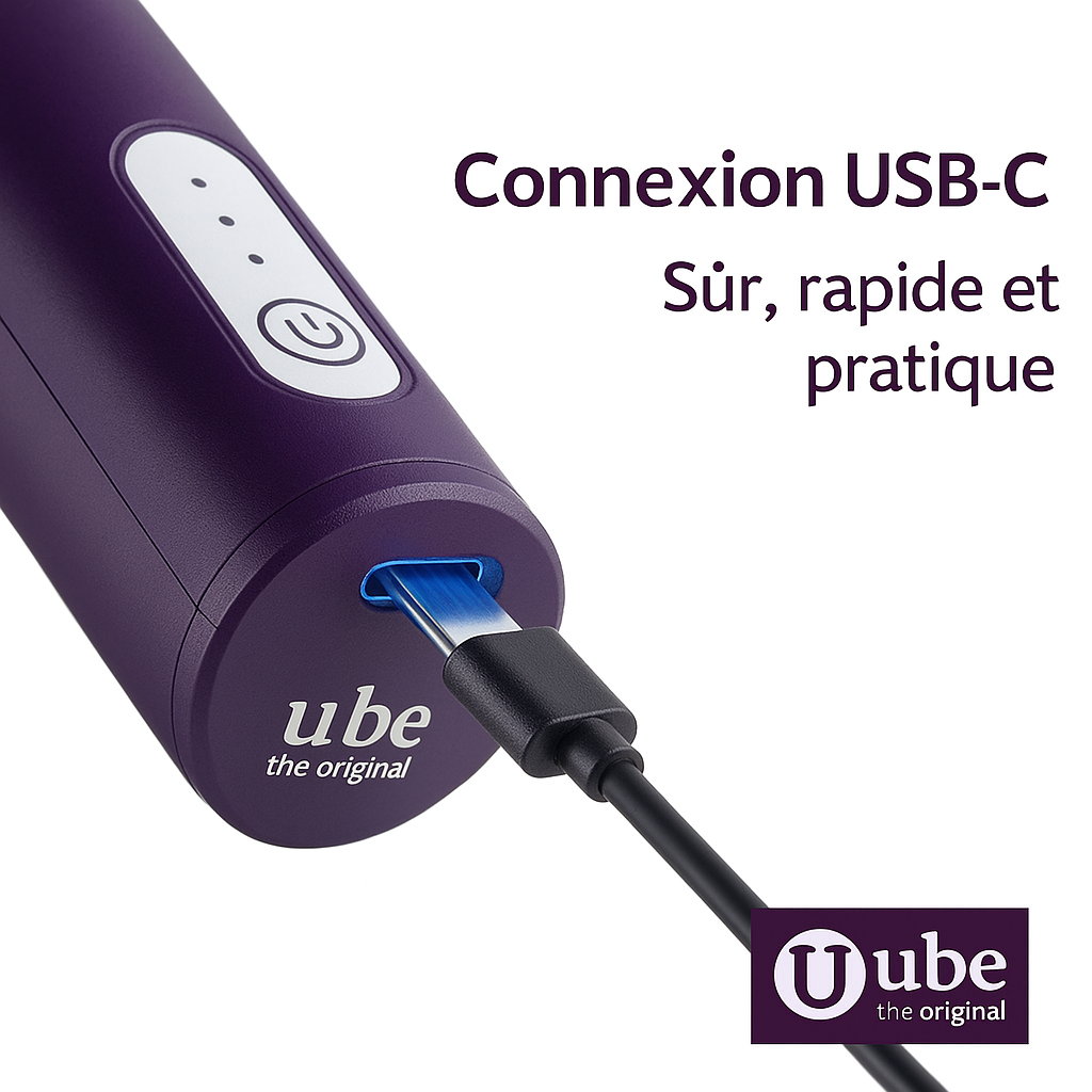 Mousseur à Lait Électrique